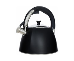 (200x210x250) Чайник REGENT 93-TEA-31 со свистком 3.0л черный - фото 34233