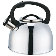 (200x210x250) Чайник со свистком Appetite 2.5л LKD-025MP