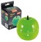 (120x125x130) Таймер Mallony Apple 7*7.5см/ 003541 - фото 28668