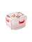 (90x210x250) Контейнер Apollo SET-17/ для хранения продуктов "Set up" - фото 36413